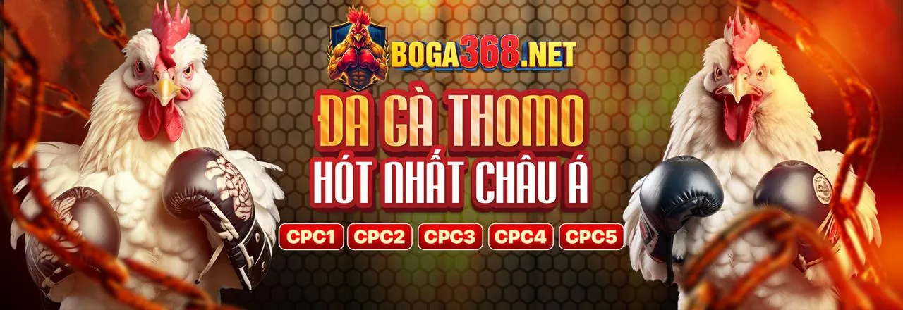 Đá Gà Trực Tuyến Vin77 Login - Sân Chơi Đỉnh Cao