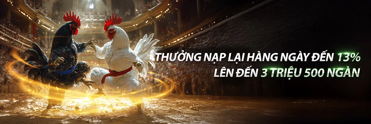 Hình ảnh chính blog Vin77 Login với các biểu tượng cá cược trực tuyến và màu sắc xanh vàng rực rỡ